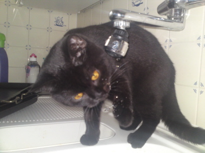 mmmh lecker,frisch aus dem Wasserhahn