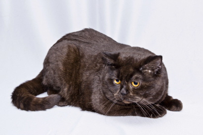 Ich schau jetzt mal weg Ich schau jetzt mal weg