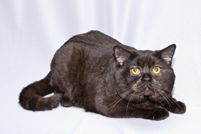 Was schauen die denn so?! Was schauen die denn so?!