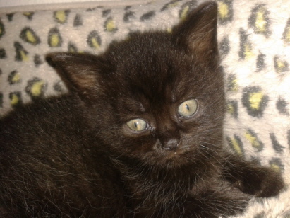 11.05.2016 11.05.2016