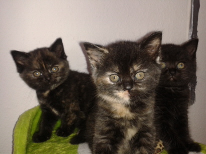 11.05.2016 11.05.2016