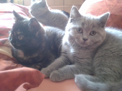 Hermine ,Happy.Henry Hermine ,Happy.Henry