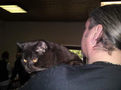 Auf dem Weg zur Bühne Auf dem Weg zur Bühne