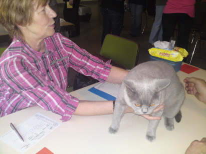 Arwen beim richten Arwen beim richten