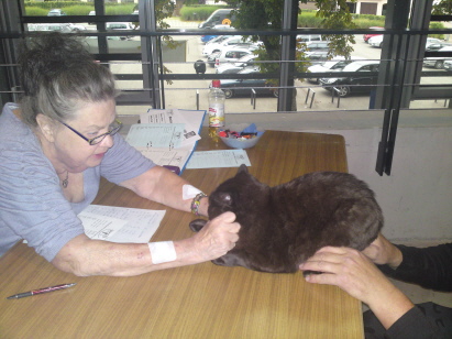 JA,JA, ich hab dicke Backen!! Nerv!! JA,JA, ich hab dicke Backen!! Nerv!!