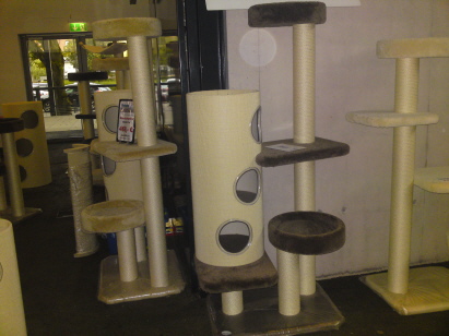 Zur Belohnung gibt es nen neuen Kratzbaum Zur Belohnung gibt es nen neuen Kratzbaum