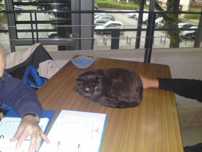 Wer tätschelt da meinen Popo!!? Wer tätschelt da meinen Popo!!?