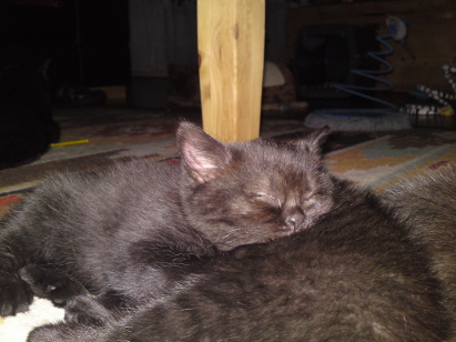 kuscheln mit Mama