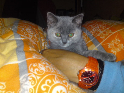 mit mama im Bett kuscheln