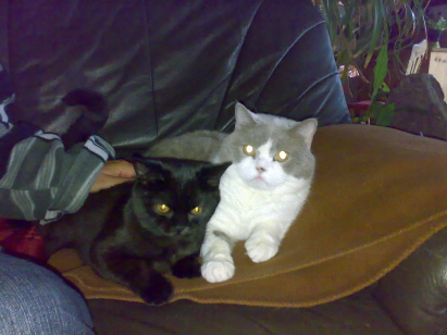 Emily und Legolas,