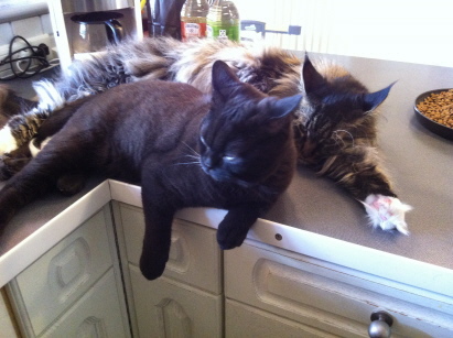 Barney und Theresia Barney und Theresia