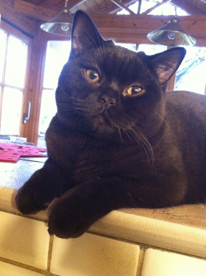 Michel jun. Michel jun.