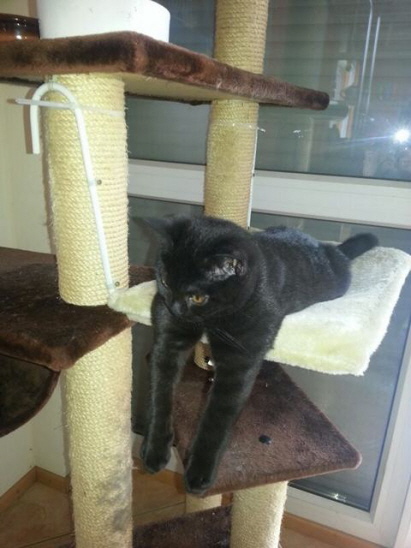 ...und wer spielt jetzt mit mir ?...! ...und wer spielt jetzt mit mir ?...!