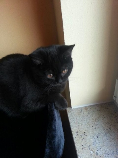 Mein Platz am Fenster Mein Platz am Fenster